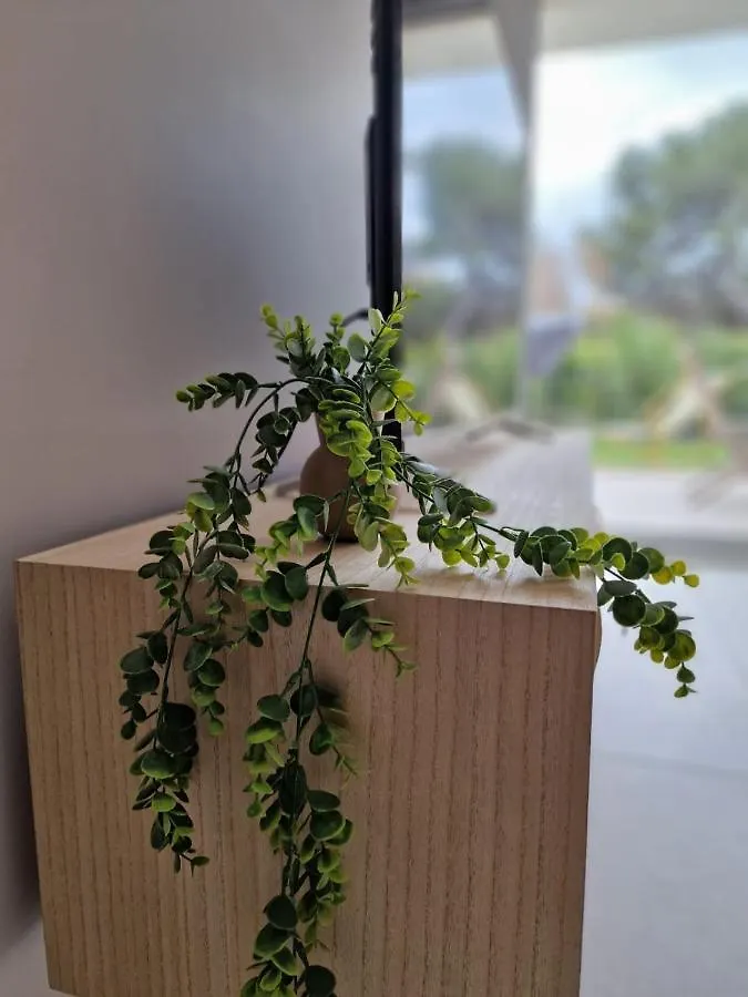 Appartement Hyeres - Giens 1 Chambre 4 Personnes Jardin Plancha Parking Prive - Olivier Apartment